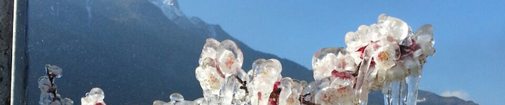 Derni&egrave;res nouvelles.png