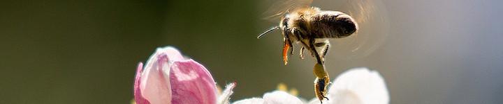 Eco-responsable 1.jpg