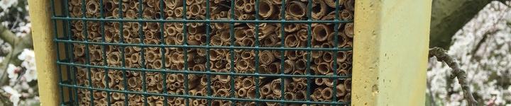 Eco-responsable 2.jpg