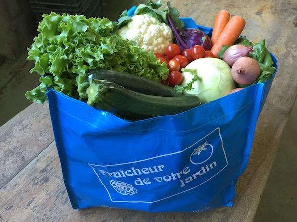 Panier l&eacute;gumes 2.jpg